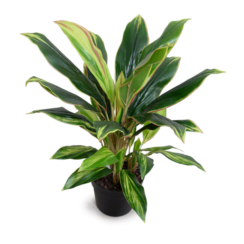 Primrue Artificial Aspidistra Plant in Pot Wayfair